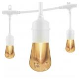12-BULB 24 FT. VINTAGE CAFE INTEGRATED LED STRING