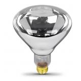 1 LOT OF (6) 250-WATT CLEAR BR40 DIMMABLE INCANDES