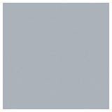 RUST-OLEUM SPRAY PAINT ,LIGHT GRAY,12 OZ. 214645 (