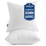MIULEE SET OF 2 THROW PILLOW INSERTS 20X20 INCHES,