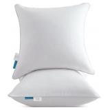OUBONUN 24X24 SQUARE PILLOW INSERTS (SET OF 2) - 1