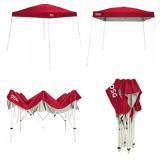 DSG 10' X 10' SLANT LEG CANOPY