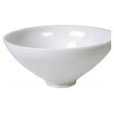 SATCO 10 INCH DIAMETER REFLECTOR-TYPE REPLACEMENT