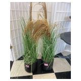 1 LOT: (2) FAUX POTTED PLANTS
