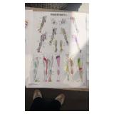 TRIGGER POINTS II LAMINATED EDUCATIONAL POSTER