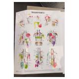 TRIGGER POINTS LAMINATED EDUCATIONAL POSTER
