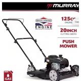 20 IN. 125 CC BRIGGS & STRATTON WALK BEHIND GAS PU
