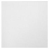 $120 SAHARA 2 FT. X 2 FT. LAY-IN CEILING TILE (64