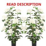 $130 BELLACAT 3FT FAUX HYDRANGEA TREE WITH WHITE F