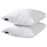 BASIC HOME  HOTEL-STYLE GOOSE FEATHER PILLOW INSER