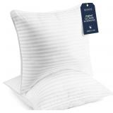 BECKHAM HOTEL COLLECTION EURO SIZE THROW PILLOWS (