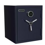 $380 SANCTUARY PLATINUM 3.32 CU. FT. FIREPROOF AND