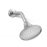 FORTE KATALYST 1-SPRAY PATTERN 5.5 IN. SINGLE WALL