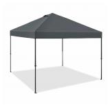 $119 MEMBER'S MARK 10'X10' INSTANT CANOPY EASYLIFT