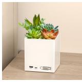 TECH2 POWER BLOOM CHARGING DECORATIVE PLANT WITH B