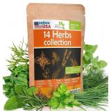 1 LOT (8) 14 CULINARY HERB SEEDS PACK - HEIRLOOM A
