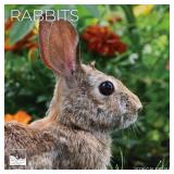 1 LOT (2) 2026 WALL CALENDAR | 12" X 24" OPEN | AN
