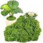 Sale #576-Seasonal Dï¿½cor & Home Essentials Blowout!!