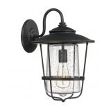 $302 CREEKSIDE 11 IN. W X 16 IN. H 1-LIGHT CLEAR S