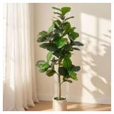 6 FT. ARTIFICIAL FIDDLE LEAF FIG TREE IN WHITE DEC