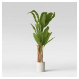 $200 72" BANANA TREE IN CEMENT POT - THRESHOLDï¿½