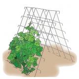 CUCUMBER GARDEN GROWING SUPPORT