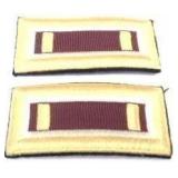 2 Shoulder Insignia Patches