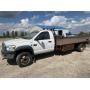 Ring 2 Unreserved Auction October