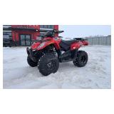 2015 Arctic Cat 300 ATV