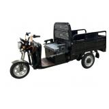 Unused SDLanch Electric Tricycle