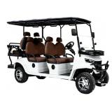 SDLanch HQ100 6 Passenger Golf Cart