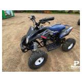*2020 Venom 1300 Electric ATV