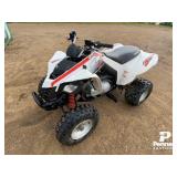 *2008 Can-Am DS250 ATV