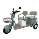 IRGC40 60 Volt Electric Mini Golf Cart (Unused)
