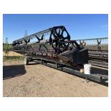 Case IH 1020 25' Flex Head w/ Trailer