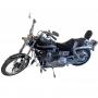 Estate Liquidation Auction - Coins - Cars - Harley Davidson!
