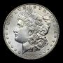 Estate Coin Auction