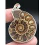 Online Estate Auction: Artifacts, Fossils, Minerals, Crystals