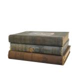 3 ANTIQUE VOLUMES OF WILLIAM MCKINLEY BIOGRAPHIES