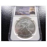 2015 NGC MS70 FIRST RELEASES AMERICAN SILVER EAGLE DOLLAR