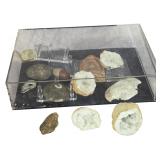 An Assortment of Fossils, Minerals, and Lithic Artifacts with Display Case