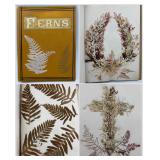 Victorian Pressed California Seaweed And Fern Specimen Album