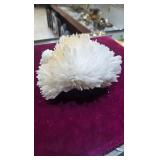 A RARE SCOLECITE FORMATION SPECIMEN