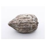 A SILVER ETROG BY SHUKI FREIMAN