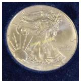 silver American eagle 1$ 2013  mint in orig holder