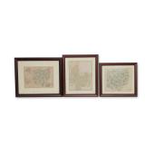 Three Framed Cartographic Prints of Ohio and Columbus