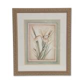 Colleen Bery for The Bombay Co., Print on Paper, Iris Monnieri Framed