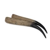 Pair of Polished Oryx Gemsbok Horns
