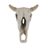 Faux Taxidermy Weathered Bison Skull Wall Decor ' Rustic Resin Buffalo Mount