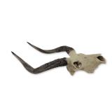 Deer Skull Trophy Wall Mount